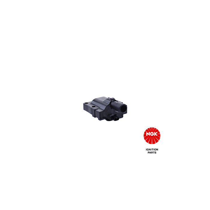 Ritė, uždegimas NGK 48363