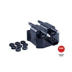 Ritė, uždegimas NGK 48368