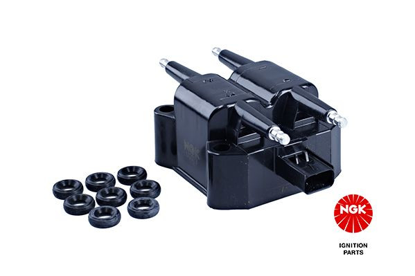 Ritė, uždegimas NGK 48368