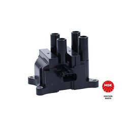 Ritė, uždegimas NGK 48369