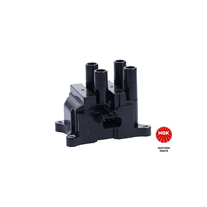 Ritė, uždegimas NGK 48369