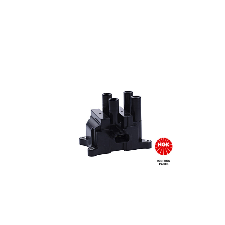 Ritė, uždegimas NGK 48369