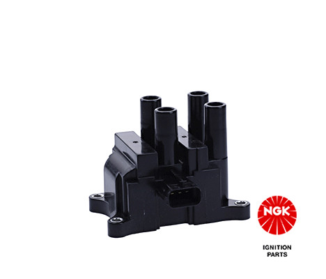 Ritė, uždegimas NGK 48369