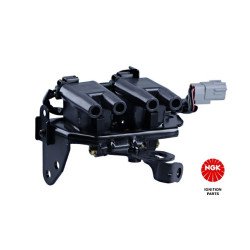 Ritė, uždegimas NGK 48370