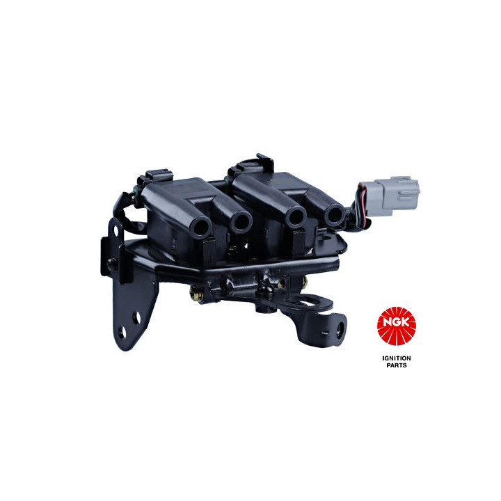 Ritė, uždegimas NGK 48370