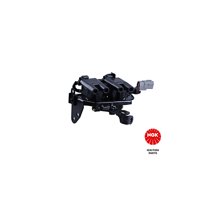 Ritė, uždegimas NGK 48370