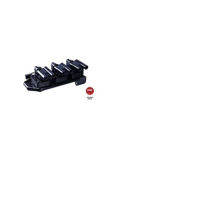 Ritė, uždegimas NGK 48371