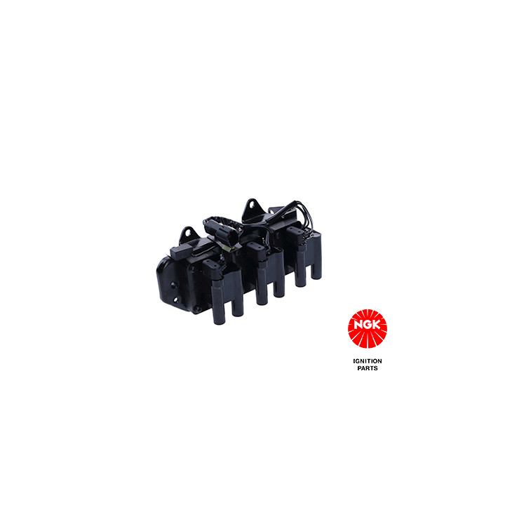 Ritė, uždegimas NGK 48371