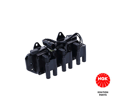 Ritė, uždegimas NGK 48371