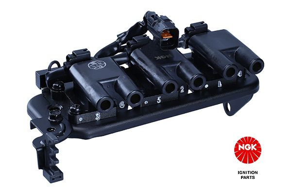 Ritė, uždegimas NGK 48372