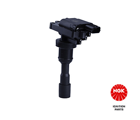 Ritė, uždegimas NGK 48376