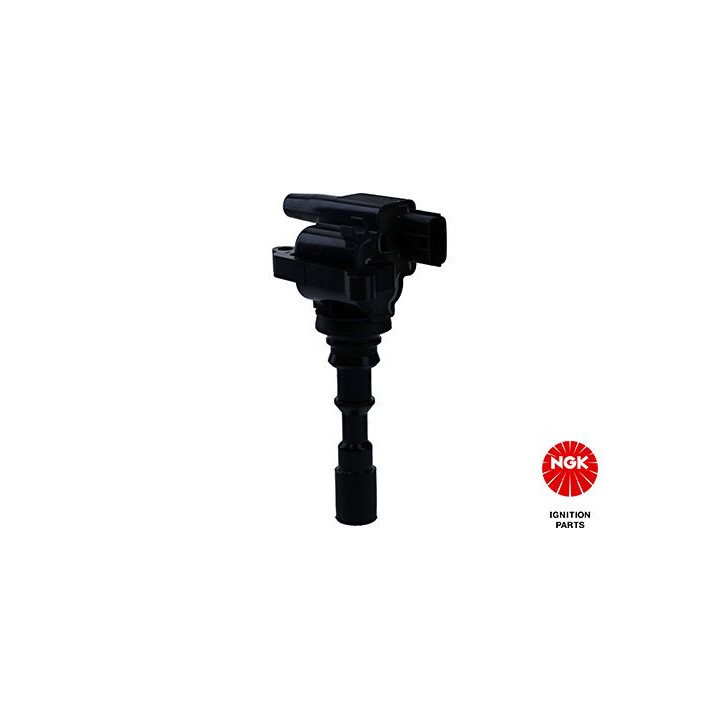 Ritė, uždegimas NGK 48378