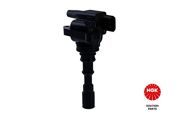 Ritė, uždegimas NGK 48378