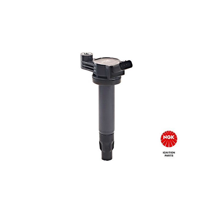 Ritė, uždegimas NGK 48396