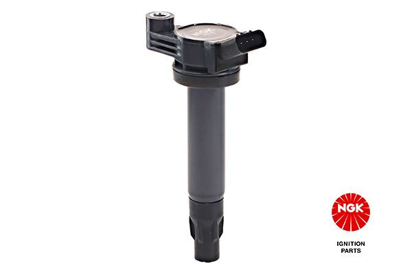 Ritė, uždegimas NGK 48396