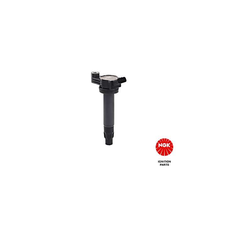 Ritė, uždegimas NGK 48396