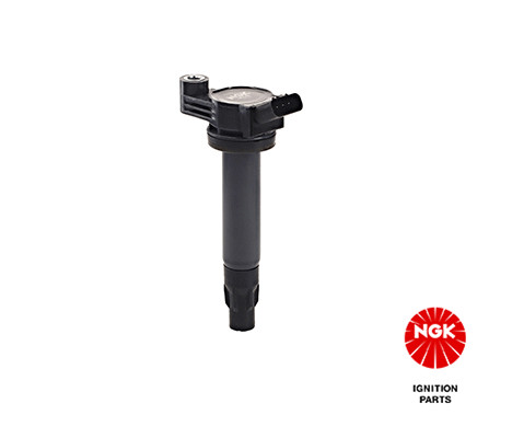 Ritė, uždegimas NGK 48396