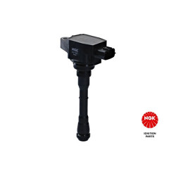 Ritė, uždegimas NGK 48397