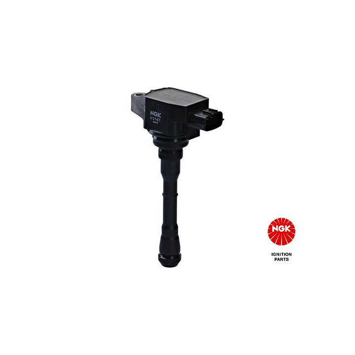 Ritė, uždegimas NGK 48397