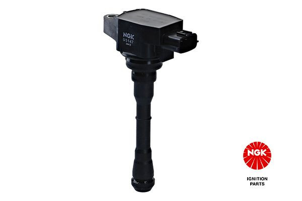 Ritė, uždegimas NGK 48397