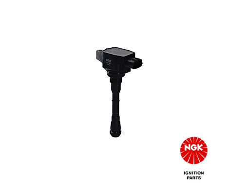 Ritė, uždegimas NGK 48397