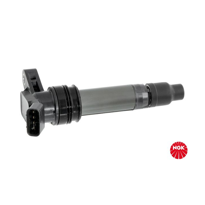 Ritė, uždegimas NGK 48399