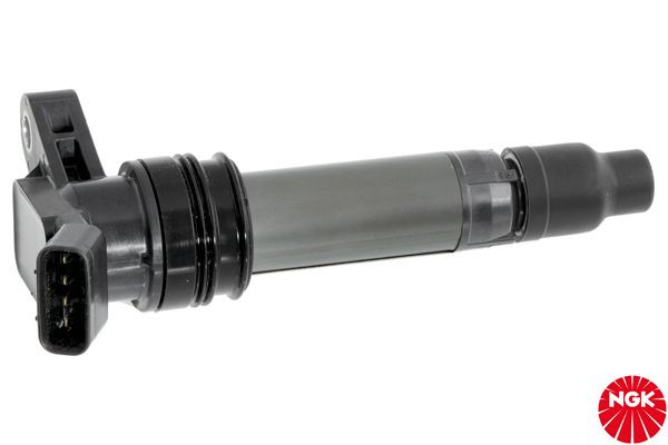 Ritė, uždegimas NGK 48399