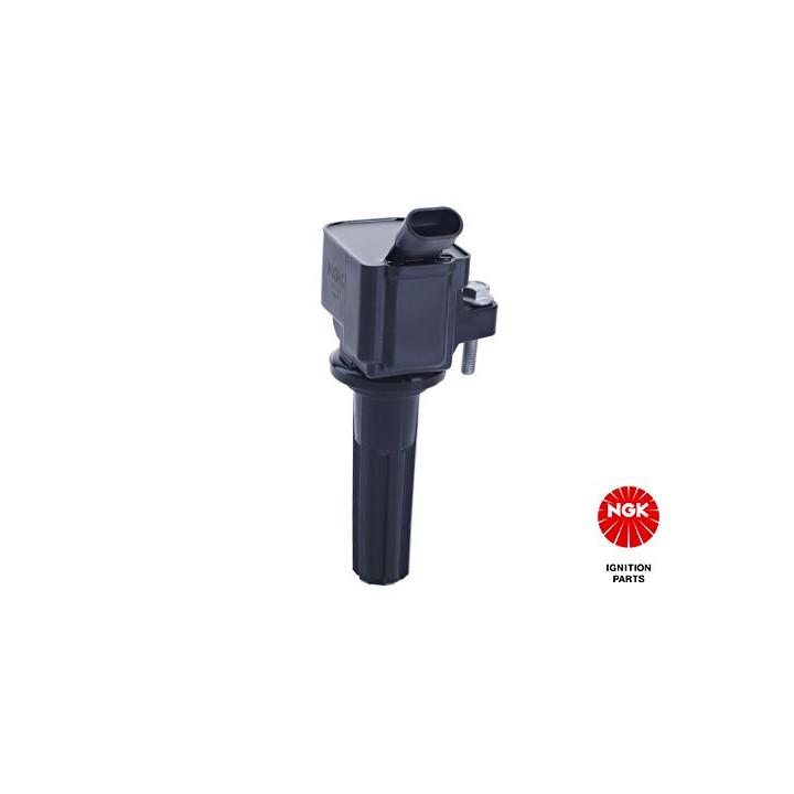 Ritė, uždegimas NGK 48401