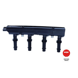 Ritė, uždegimas NGK 48404