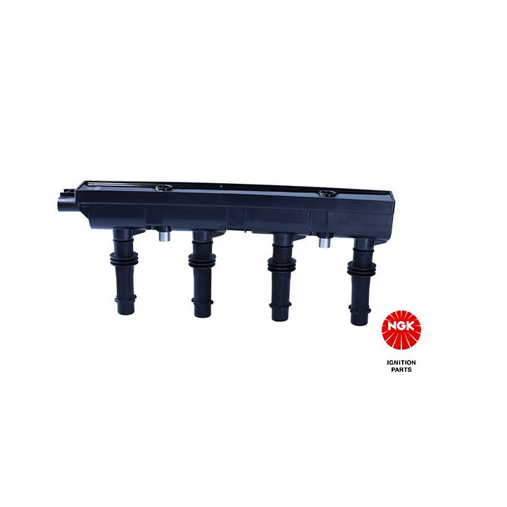 Ritė, uždegimas NGK 48404