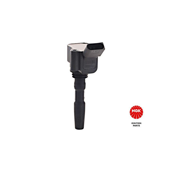 Ritė, uždegimas NGK 48408