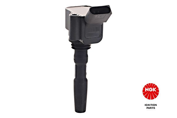 Ritė, uždegimas NGK 48408