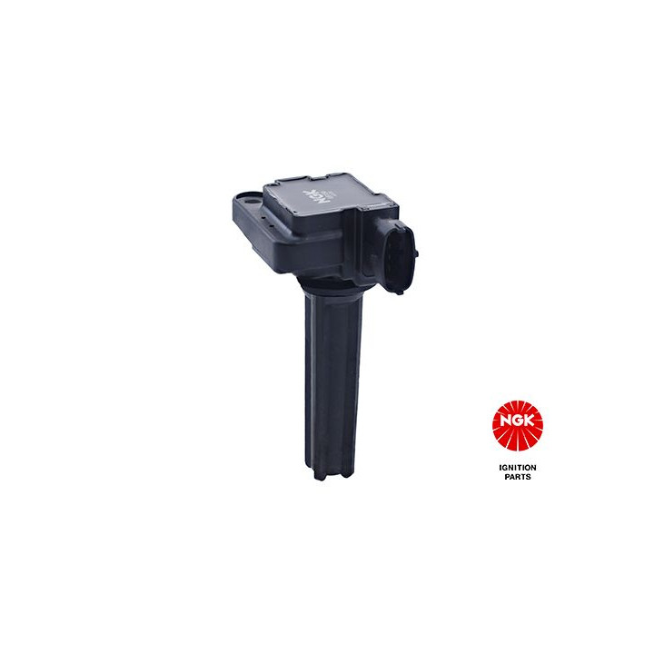 Ritė, uždegimas NGK 48411