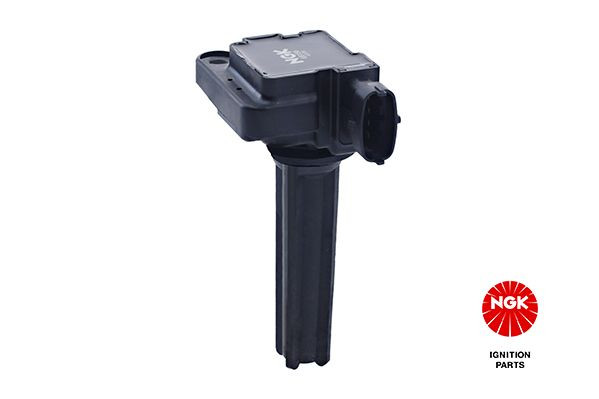 Ritė, uždegimas NGK 48411