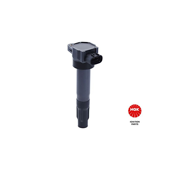 Ritė, uždegimas NGK 48749