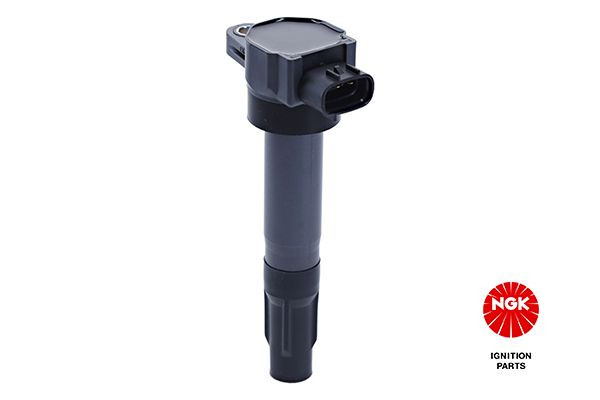 Ritė, uždegimas NGK 48749