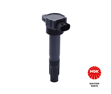 Ritė, uždegimas NGK 48749