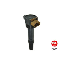 Ritė, uždegimas NGK 49047