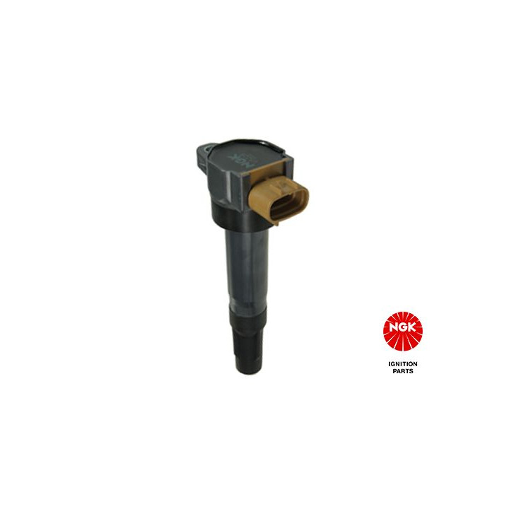 Ritė, uždegimas NGK 49047