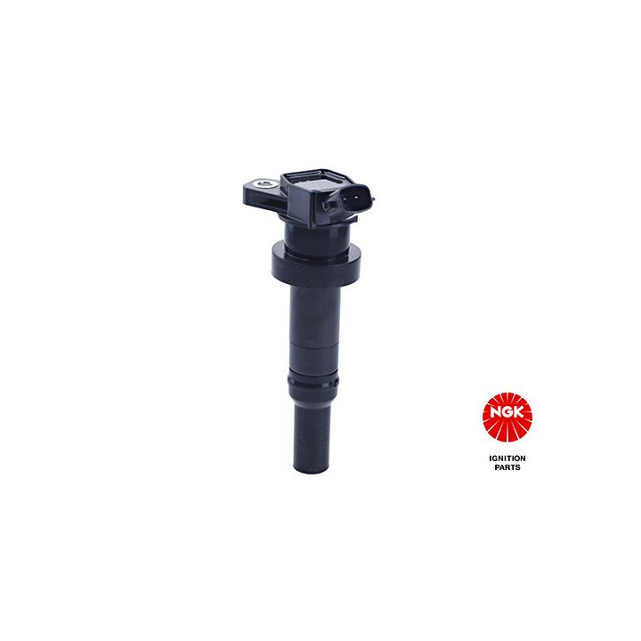 Ritė, uždegimas NGK 49048