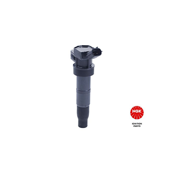 Ritė, uždegimas NGK 49052