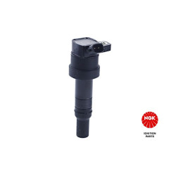 Ritė, uždegimas NGK 49054