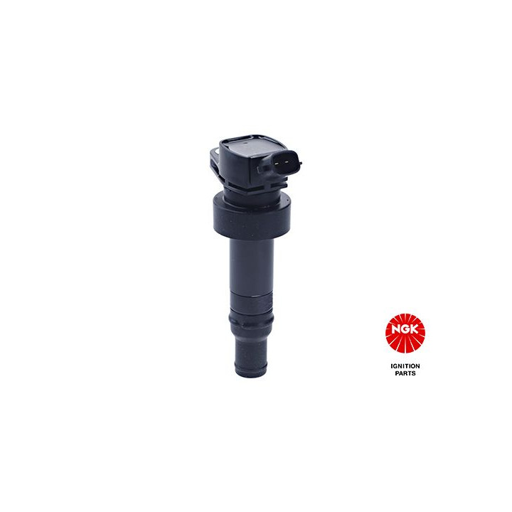 Ritė, uždegimas NGK 49055