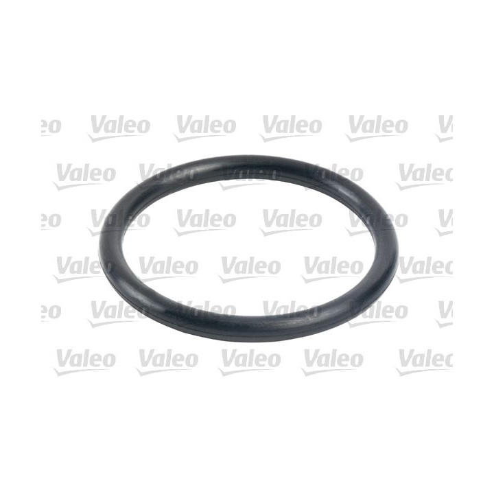 Kuro filtras VALEO 587702