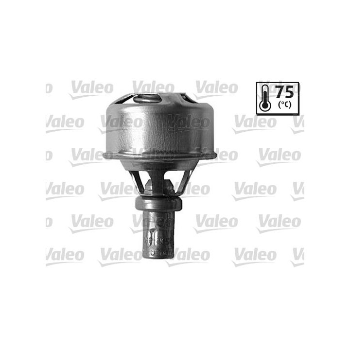 Termostatas, aušinimo skystis VALEO 819921