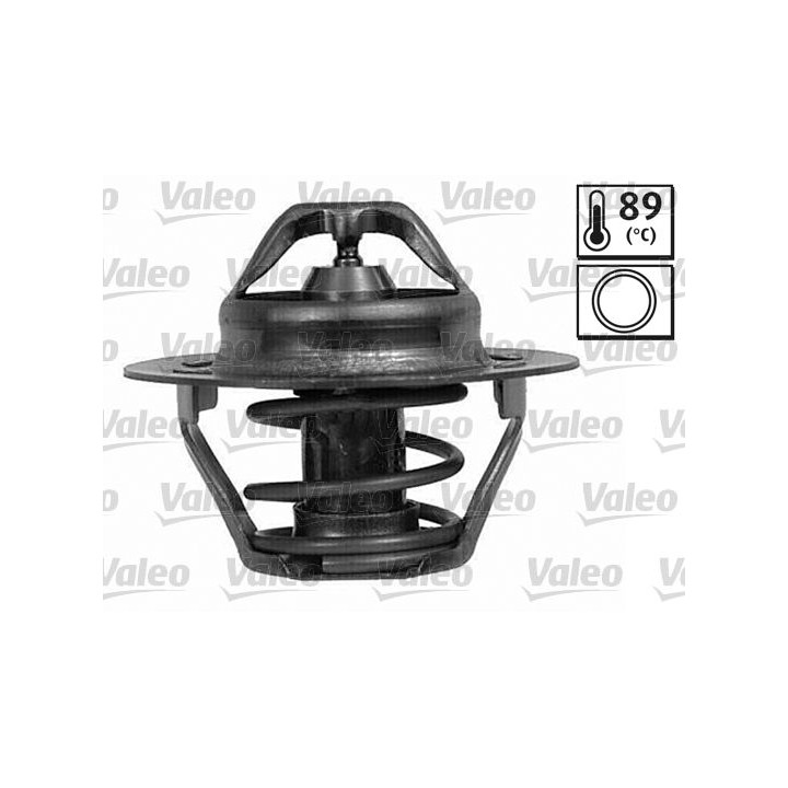 Termostatas, aušinimo skystis VALEO 820025