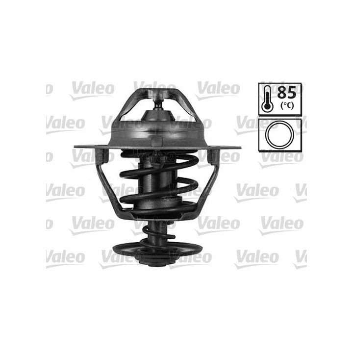 Termostatas, aušinimo skystis VALEO 820555