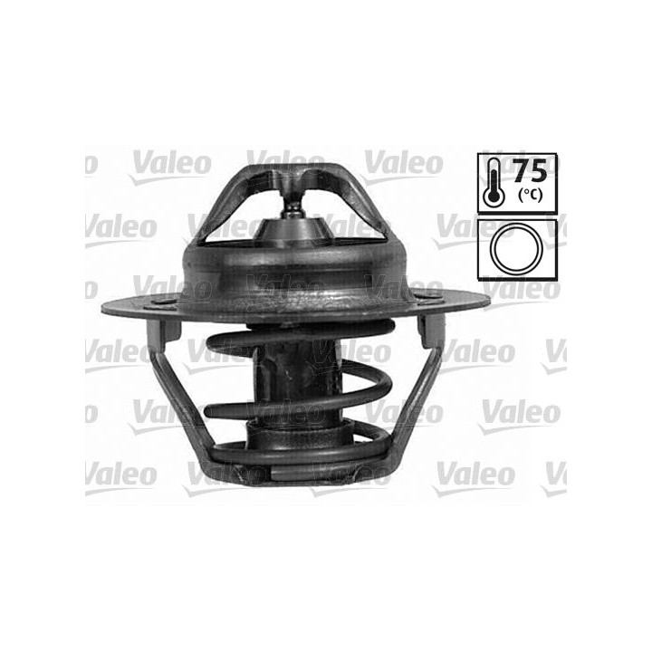 Termostatas, aušinimo skystis VALEO 820786