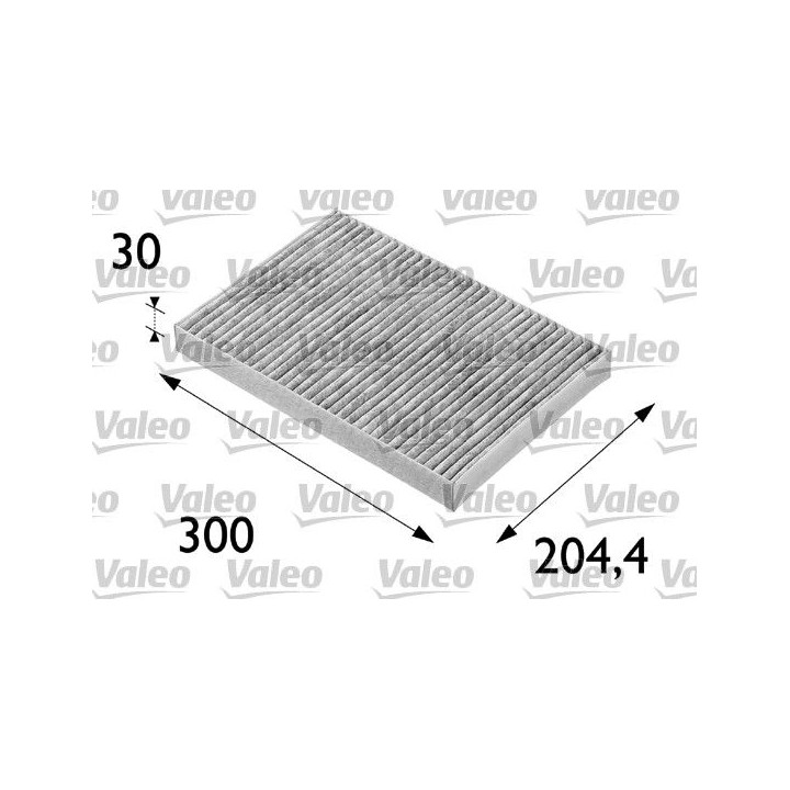 Filtras, salono oras VALEO 698683