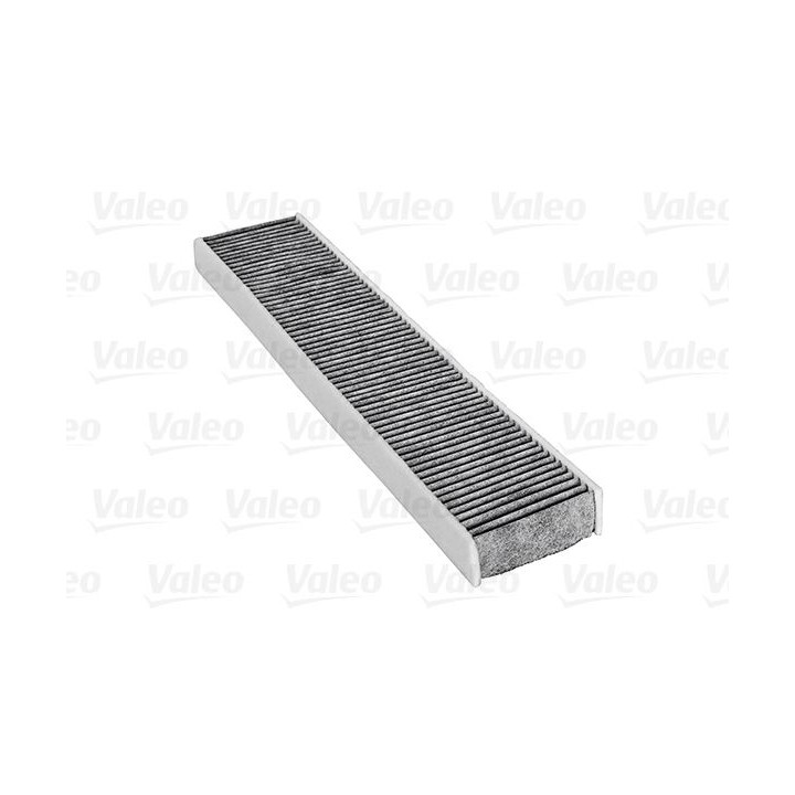 Filtras, salono oras VALEO 698745